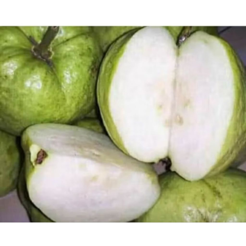 

Buah Jambu Kristal Manis 1kg