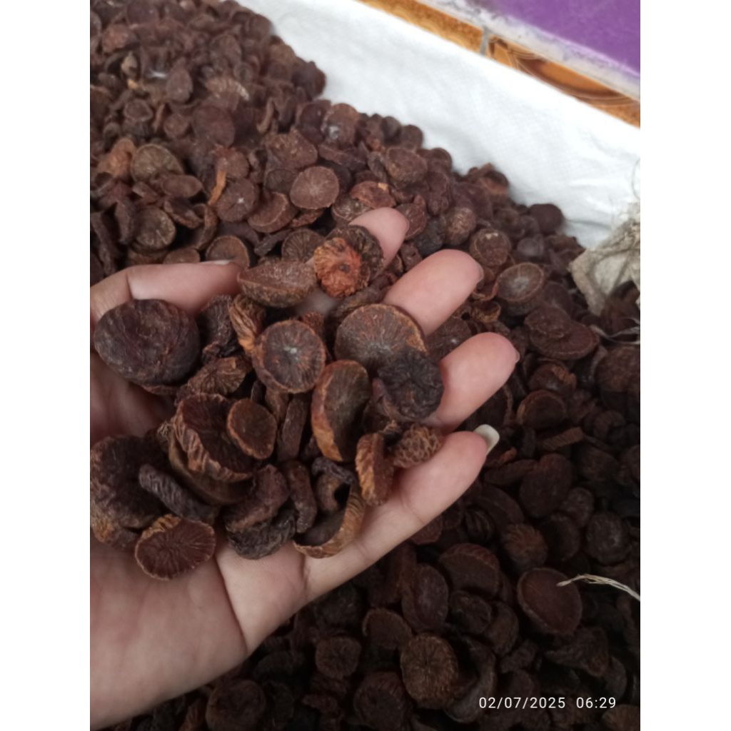 

Buah Pinang iris Asli Desa