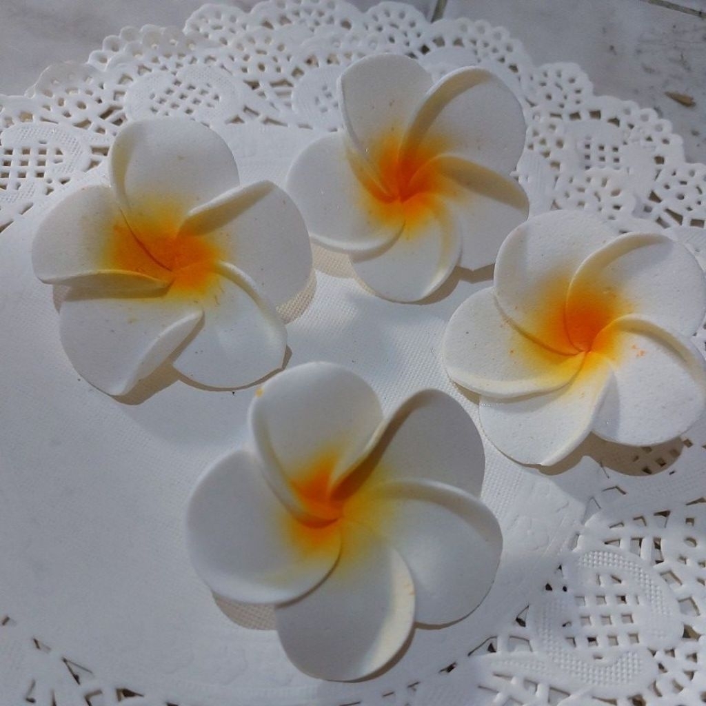 BungaKamboja/Bungaspon(12biji)