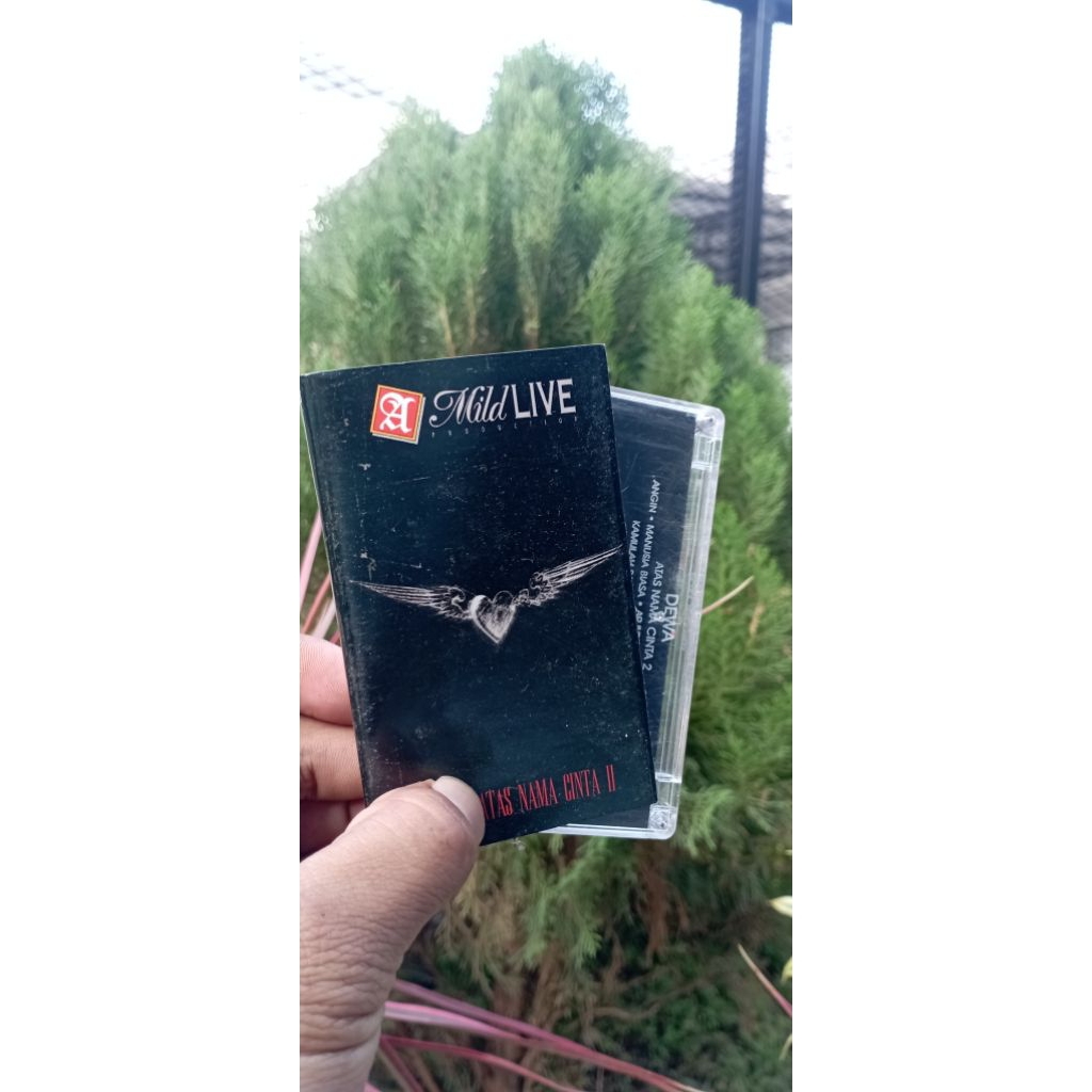 KASET ATAS NAMA CINTA I