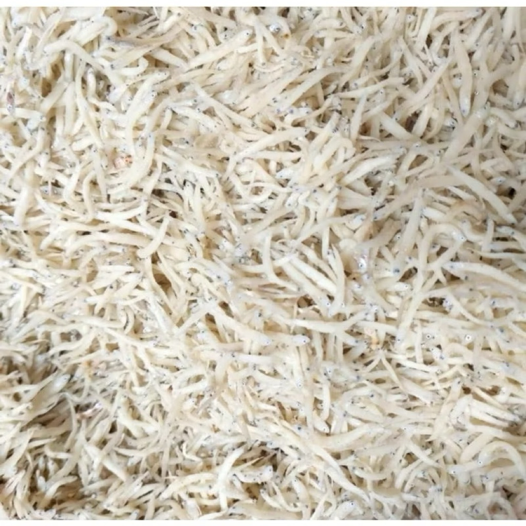 

KODE 2; IKAN ASIN TERI MEDAN/IKAN ASIN TERI NASI