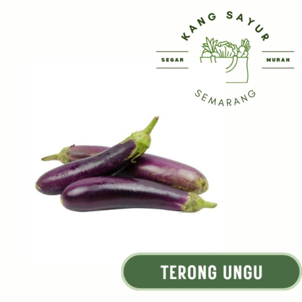 

Terong Ungu Satuan - Sayur Segar Online Semarang