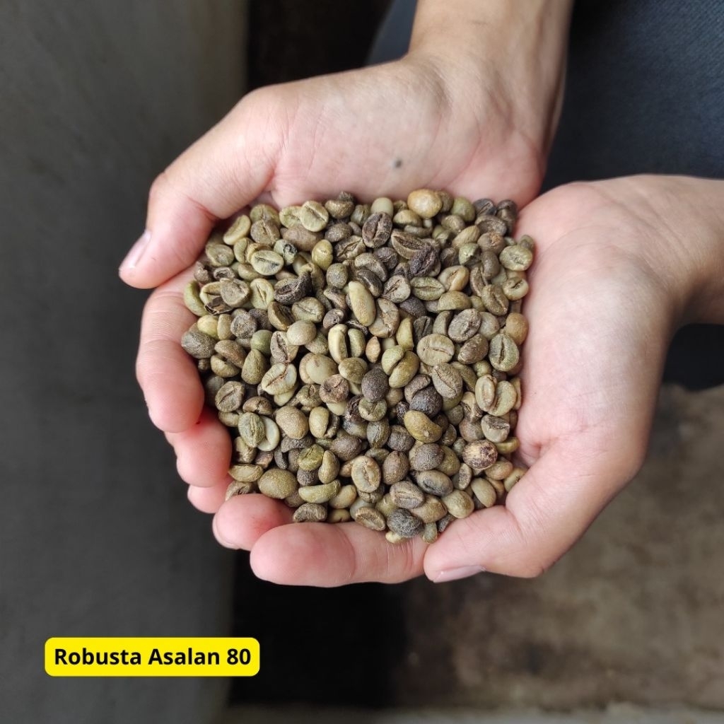 

Biji Kopi Green Bean Robusta Asalan Natural 1 Kg