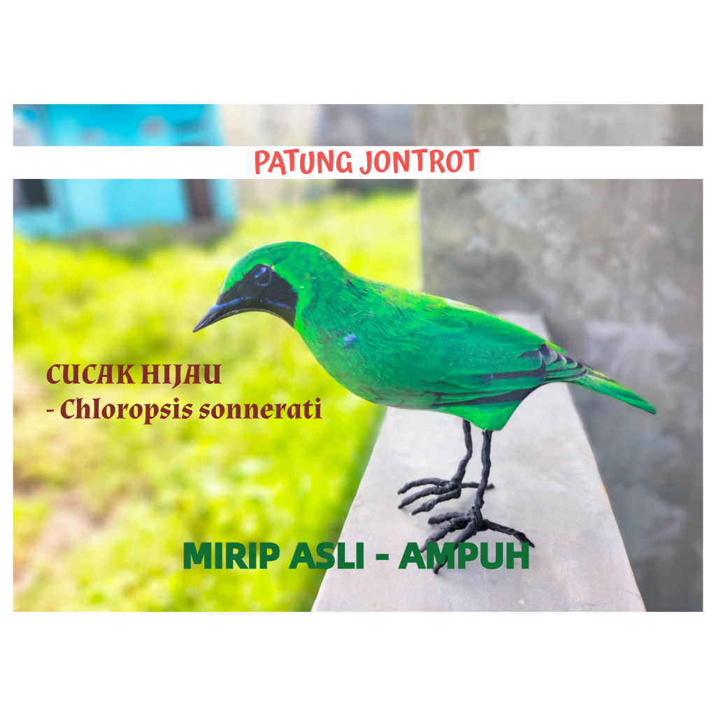 PATUNG JONTROT BURUNG CUCAK HIJAU - JONTROT BURUNG CUCAK HIJAU