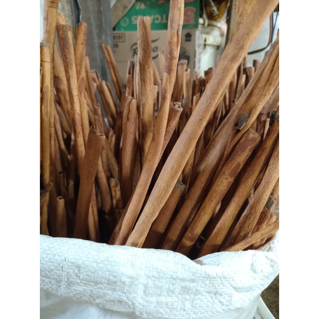 

KAYU MANIS ORGANIK CINNAMON