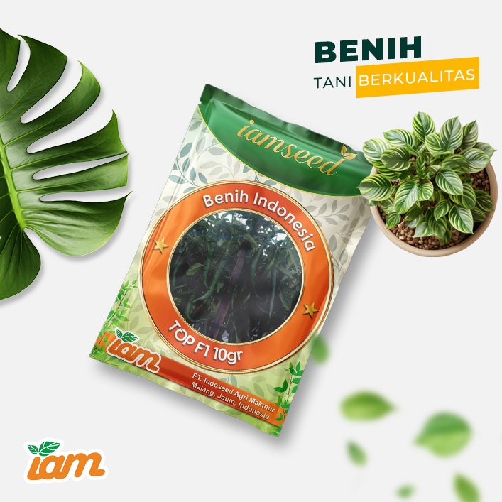 

Top F1 10gr | Cabai keriting