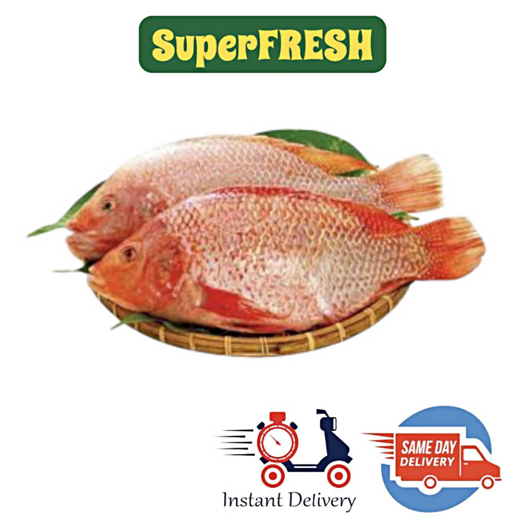

IKAN NILA FRESH