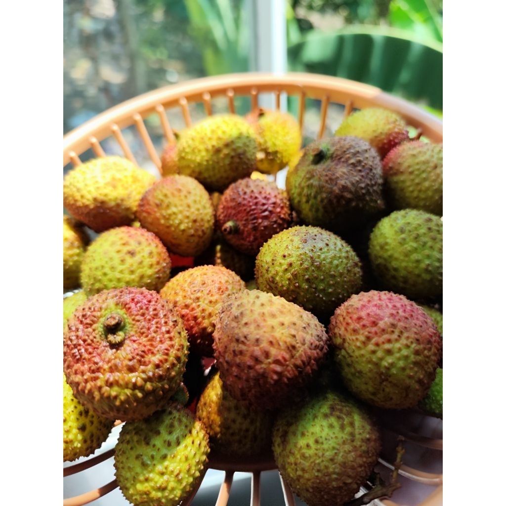 

buah leci/leci madu /leci hijau premium fresh 500 gram