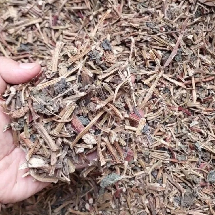 

Binahong Kering 500gr - Herbal Binahong Kering Asli