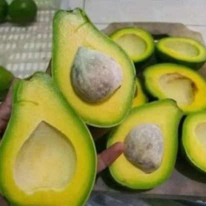 

Alpukat mentega (fisik mentah)