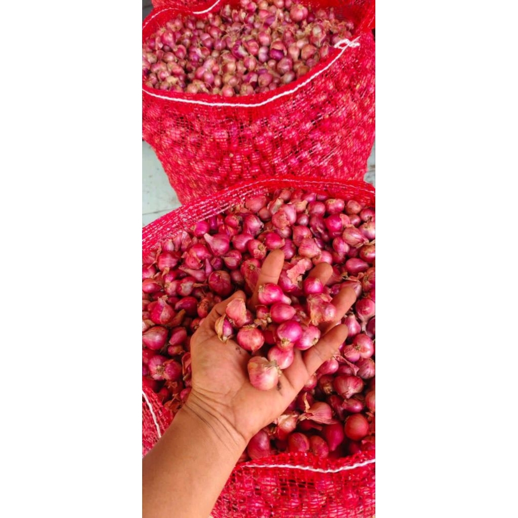 

bawang merah super 1kg