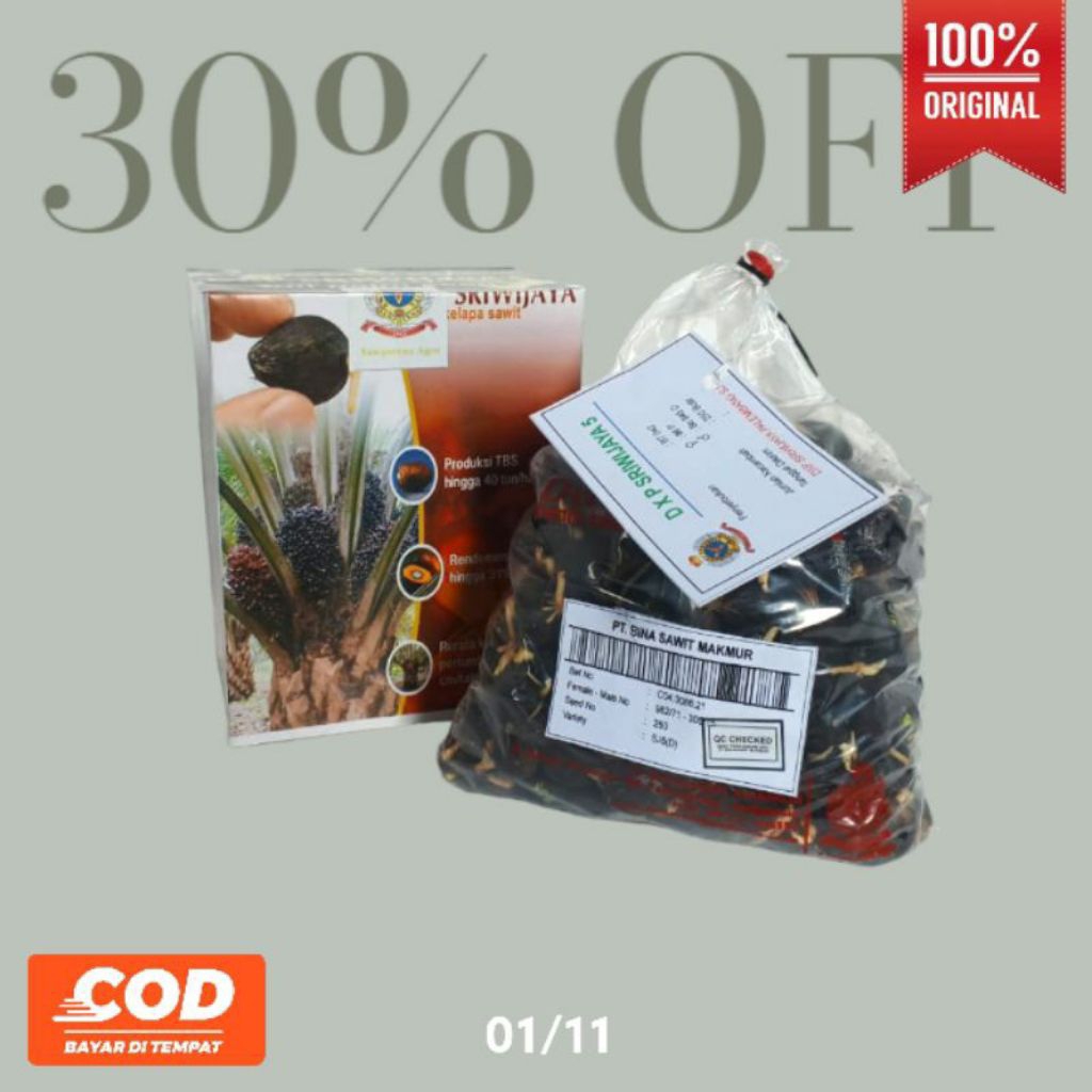 bibit kecambah kelapa sawit DxP Sriwijaya 5 isi 250 butir