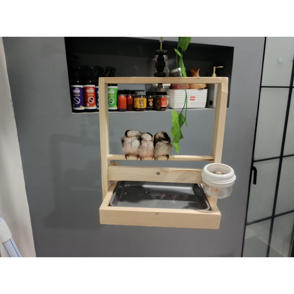 Sangkar Layang Burung Kutilang Baki Polos Mini Aesthetic