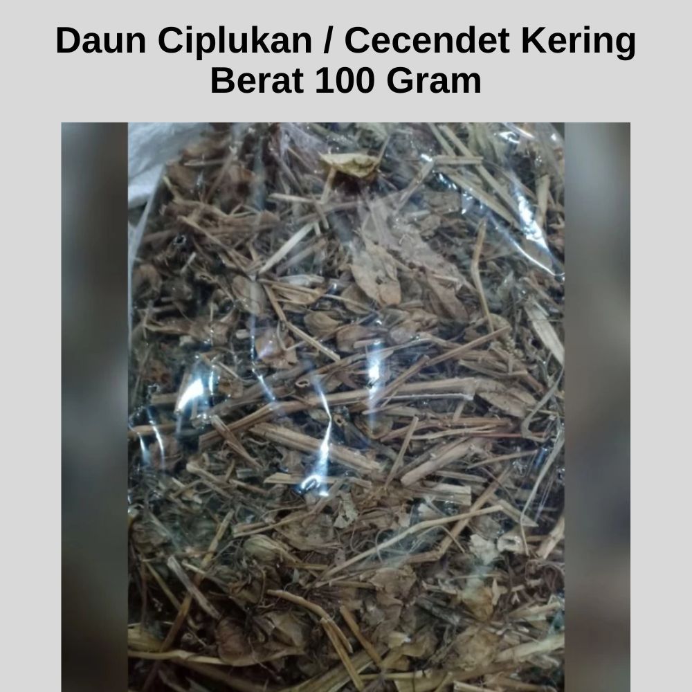 

Daun Ciplukan Cecendet Kering Asli Berat 100gr