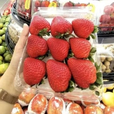

Buah strawberry Driscoll jumbo | strawberry segar USA 400 gram