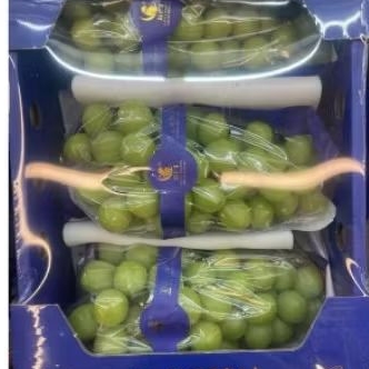 

Buah anggur Green Muscat manis | anggur shine Muscat premium box