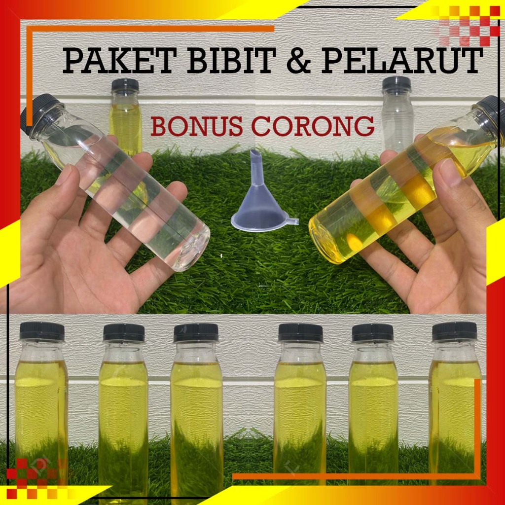 INVICTUS - PAKET BIBIT DAN PELARUT BONUS CORONG