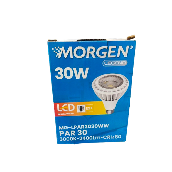 LED Parled MORGEN 30 Watt WW