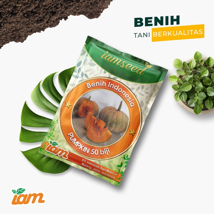 

Pumpkin 50 biji | Labu hijau