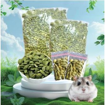 BIJI LABU 100 GR - Biji Makanan Hamster Pumpkin Seed Kwaci Hijau Camilan Hamster Snack Hamster Pengg
