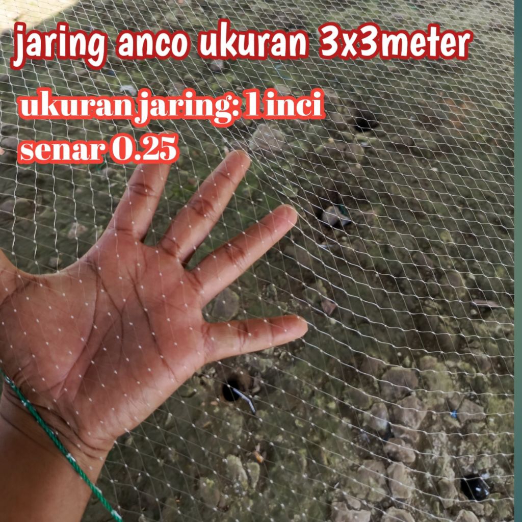 jaring anco ikan/tangkul ukuran 3x3 meter lubang 1inch  cocok untuk cari ikan babon mujaer jaring ik