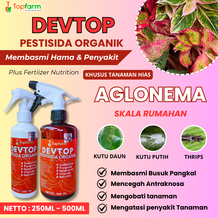 Obat Semprot Tanaman Aglonema/ Pestisida Organik Tanaman Aglonema/ Obat Semprot Hama Tanaman Aglonem