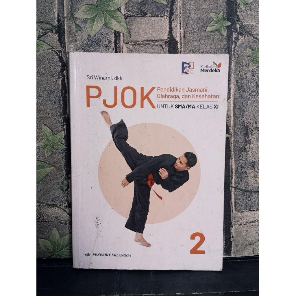 PJOK SMA/MA Kelas XI