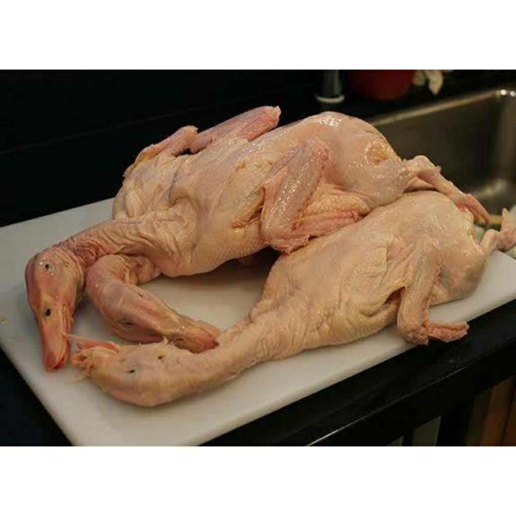 

Daging bebek utuh segarr 1kg++