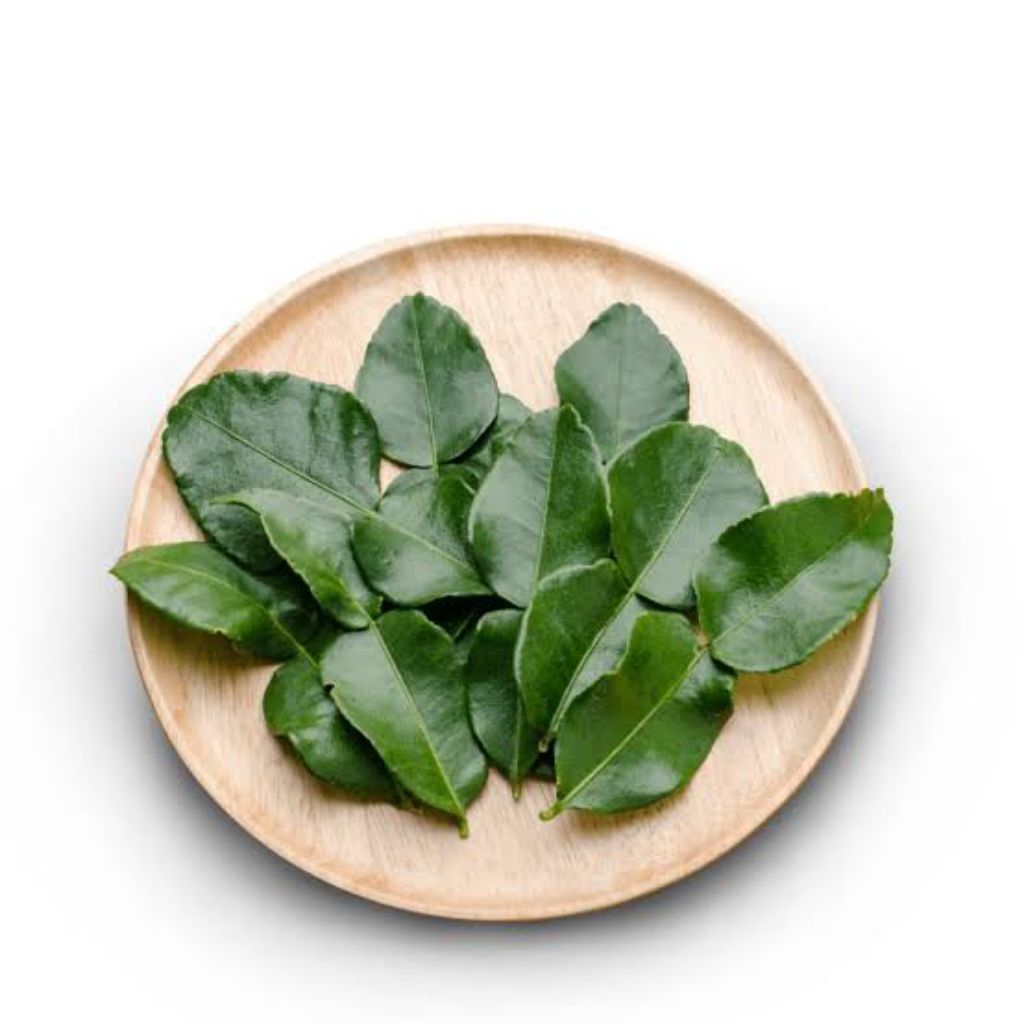 

Daun Jeruk Salam Fresh Segar 50 gram