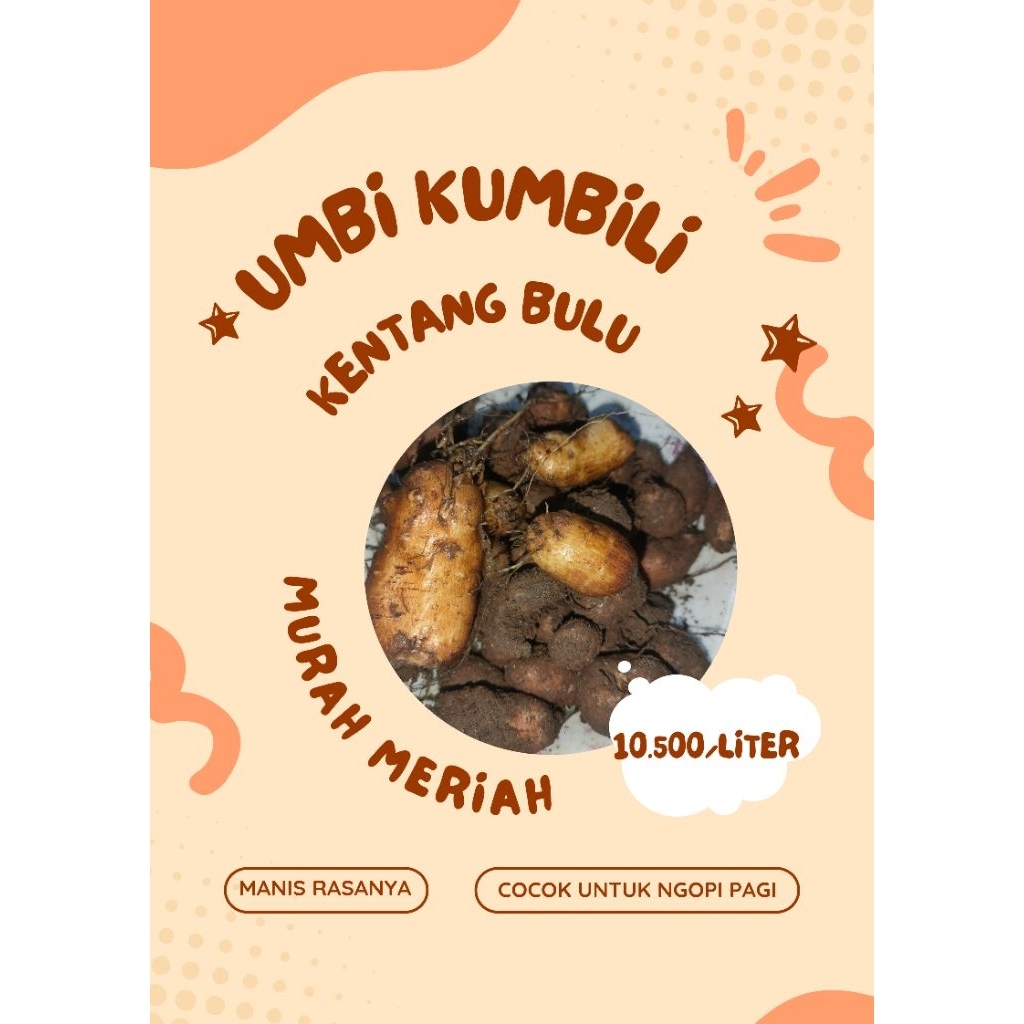

Gratis ongkir-Kumbili/kentang bulu 1 liter cuma 10.500