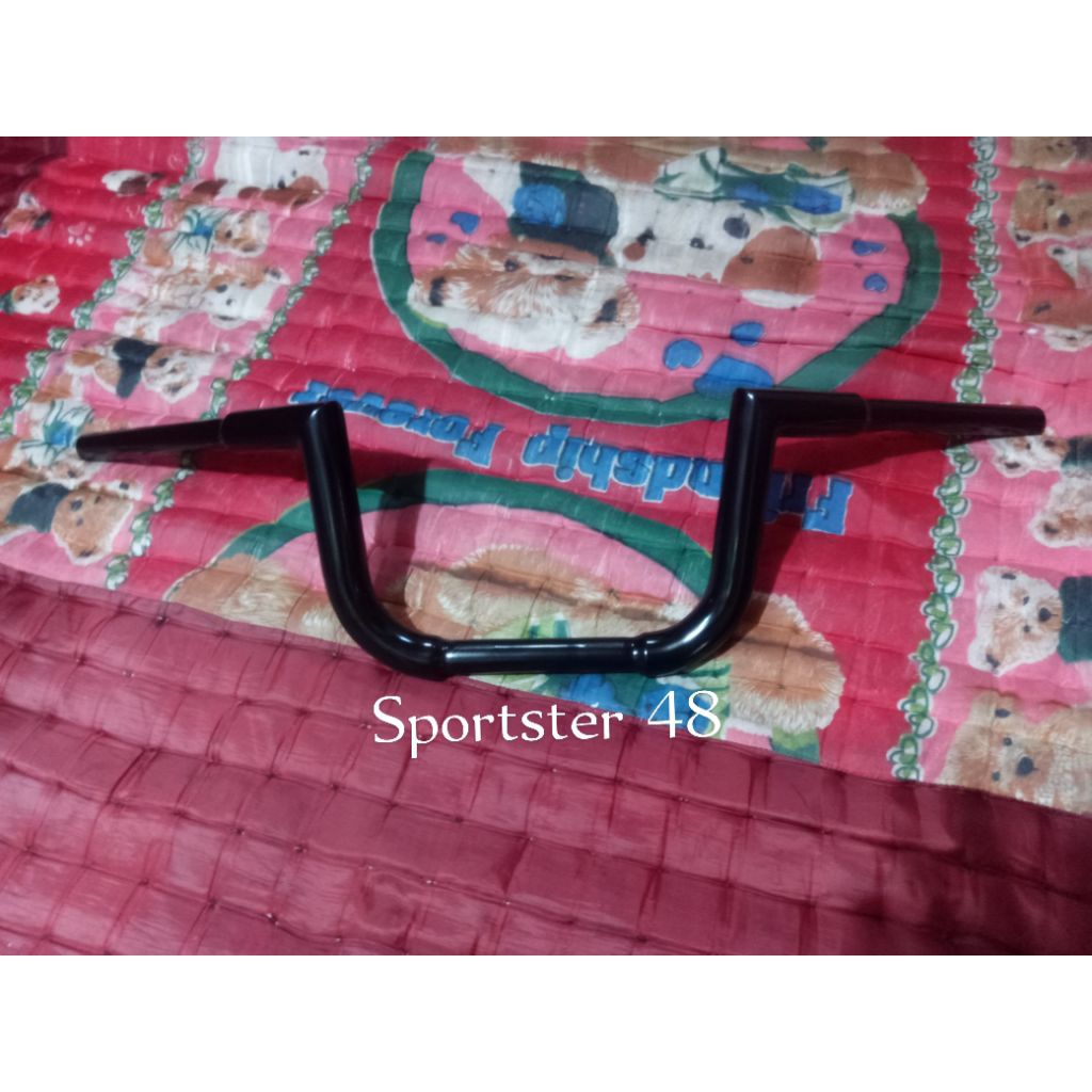 Stang custom Harley Sportster 48