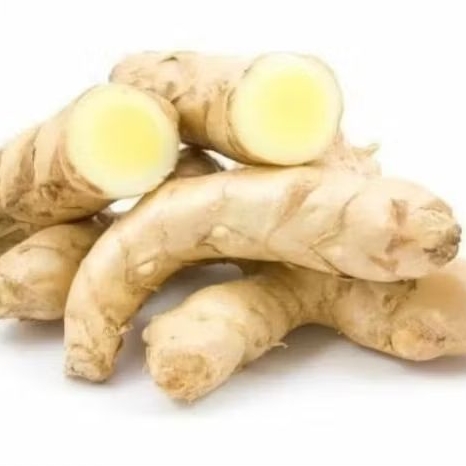 

curcuma zeodora,atau temu putih,kunyit putih,500 gr