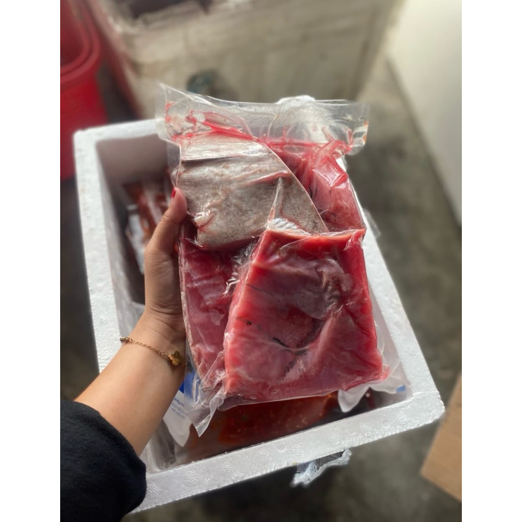 RAHANG Ikan Tuna Frozen