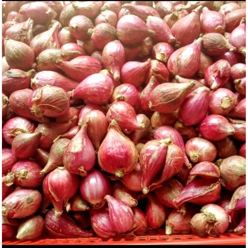 

bawang merah super brebes 1kg