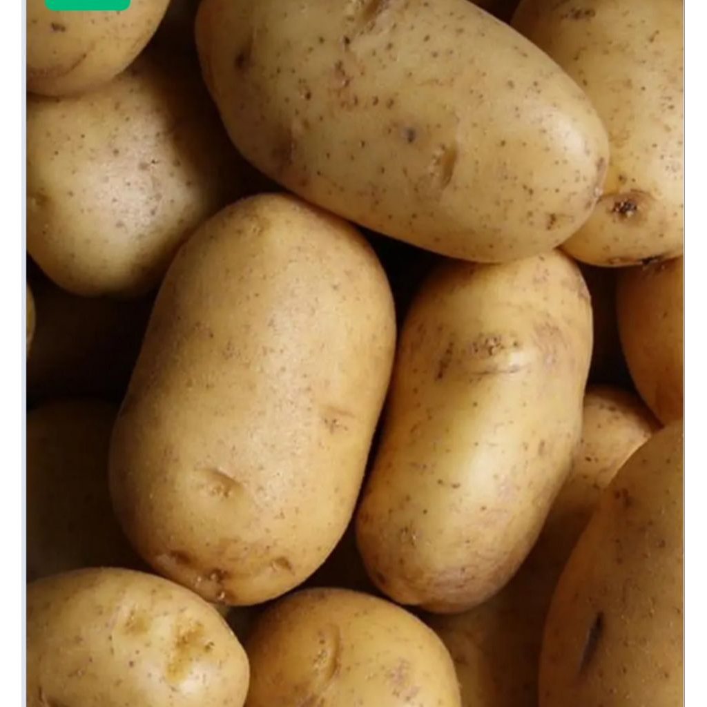 

kentang pilihan 500gram bppn