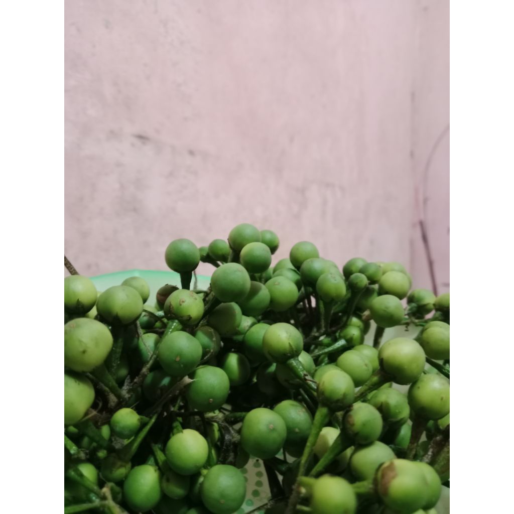 

buah takokak segar /250gr