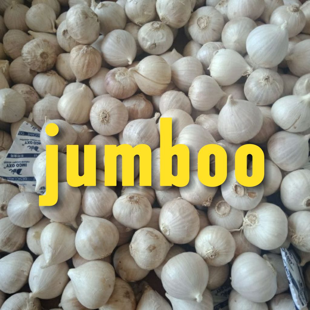 

bawang putih tunggal besar jumbo 500 gram/lanang jumbo