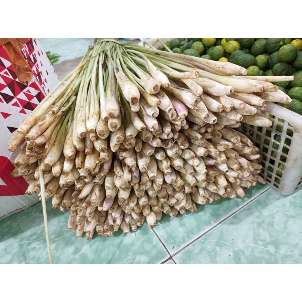 

sereh 1 kg hasil dari panen