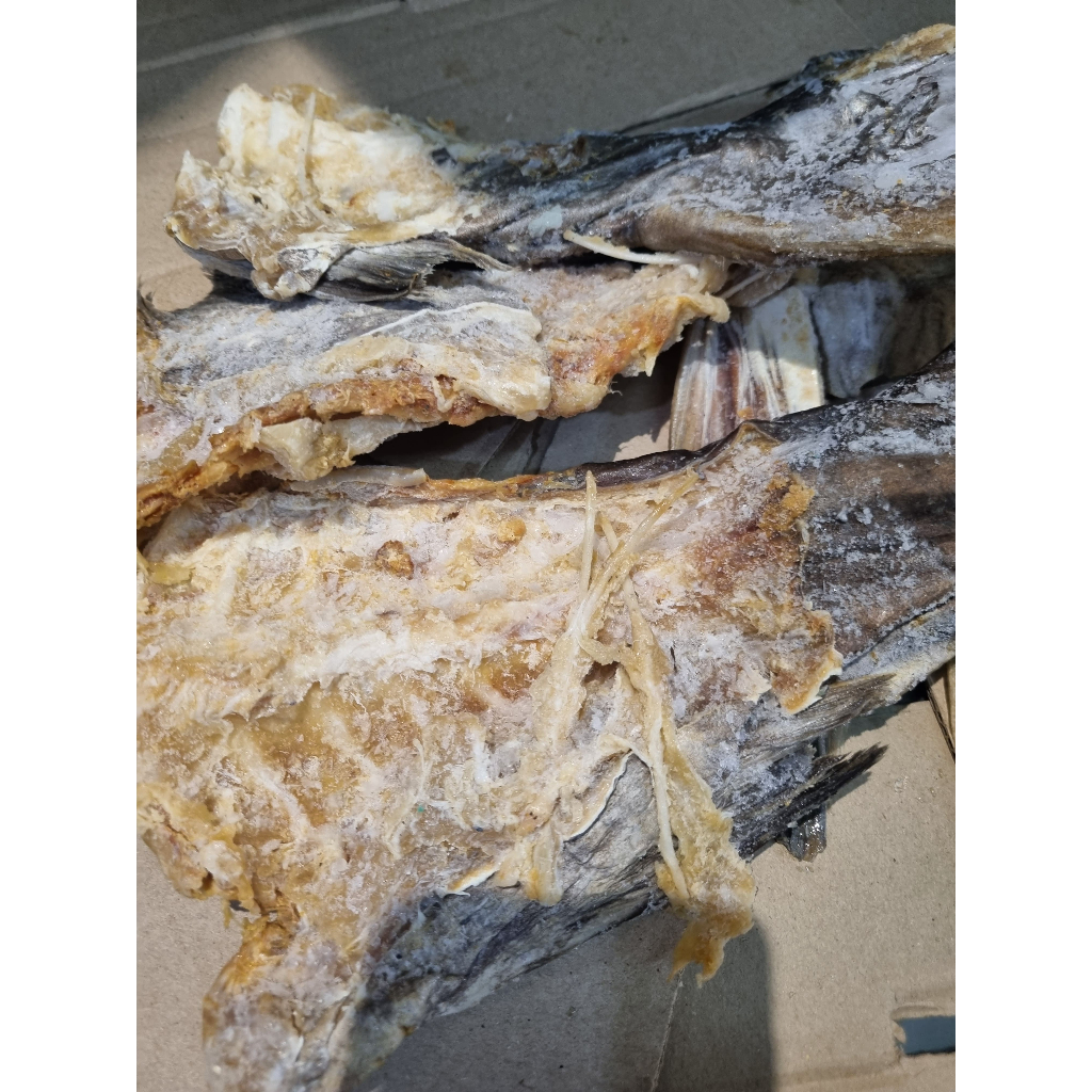 

Tulang Jambal - Ikan Asin Tulang - Tulang Jambal Premium - Tulang Jambal Asin - Tulang Jambal Asli