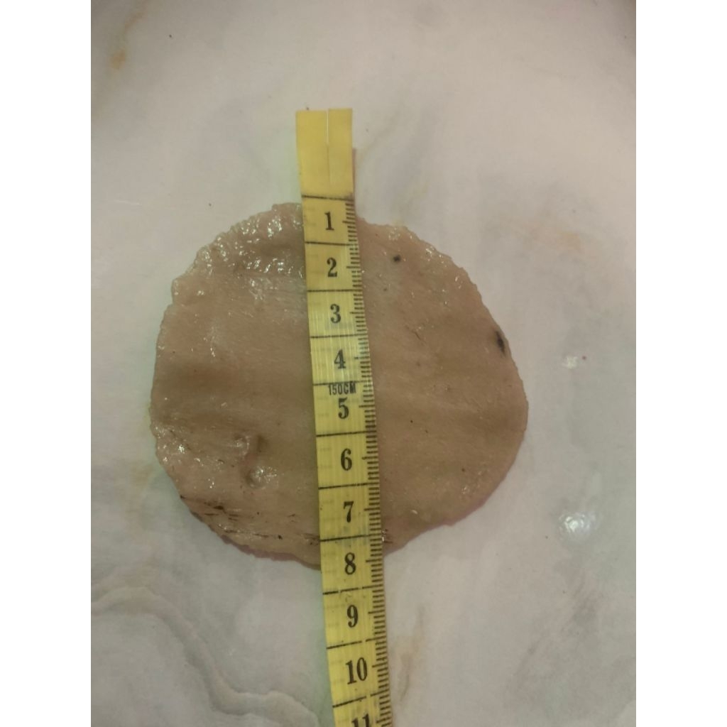 

KELEMPANG MENTAH PALEMBANG KEC SP PADANG OKI (kelempang sedang 100 pcs )