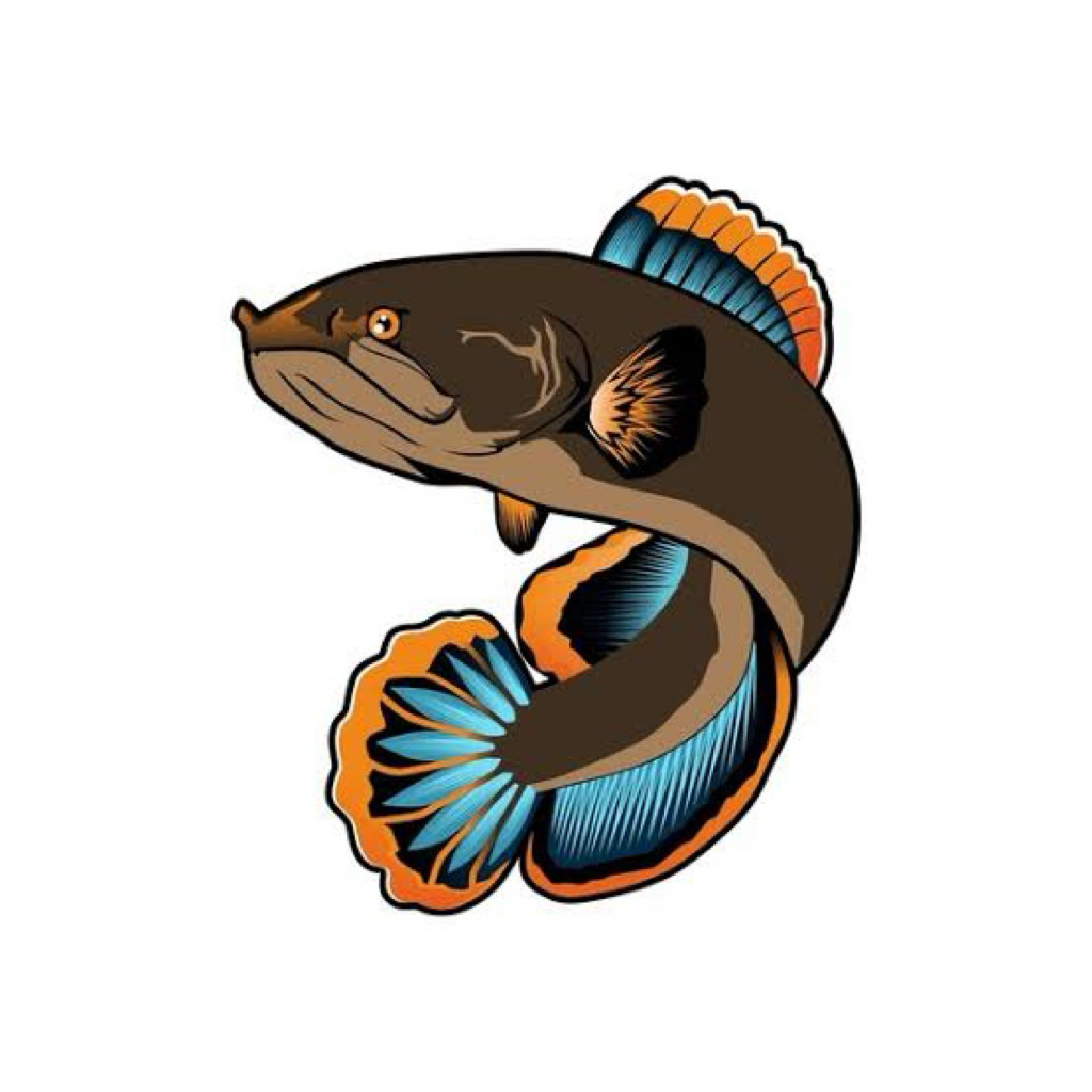 

STIKER SINGLE TANK PREMIUM LIMBATA LAWU AESTHETIC