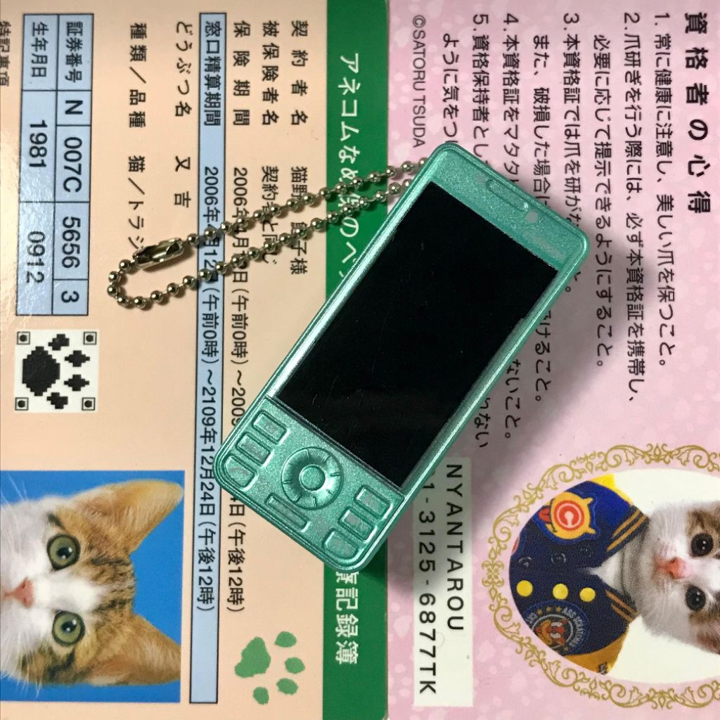 Slide Docomo Phone