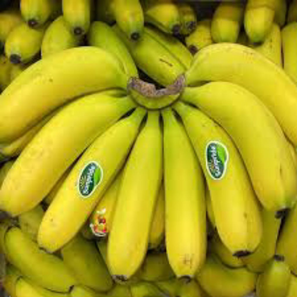 

pisang cavendish buah segar dan higenis