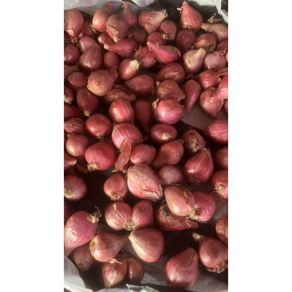 

BAWANG MERAH besar 1kg lokal nganjuk termurah