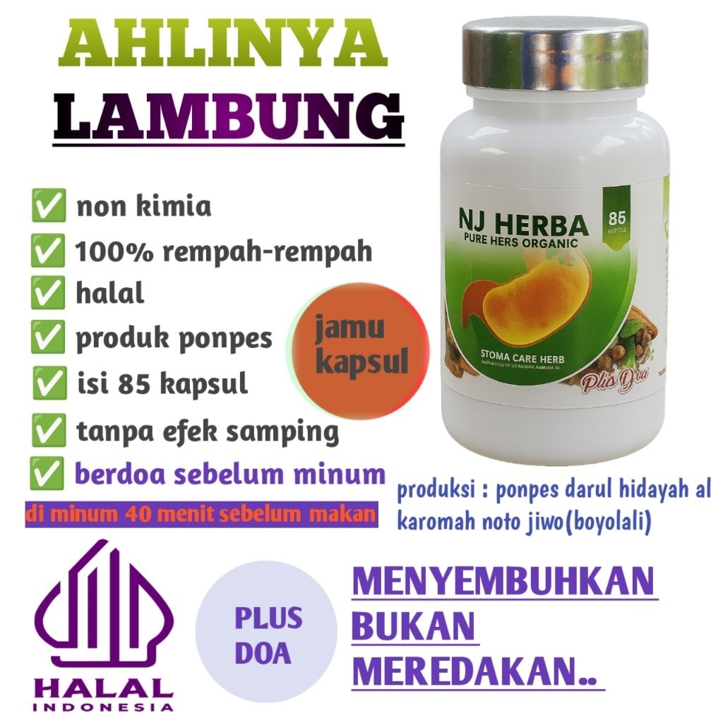 Obat Infeksi Lambung Luka Lambung GERD Maag Kronis Obat Usus Buntu Madu Herbal Obat Tradisional Fres