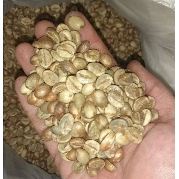 

robusta temanggung g1