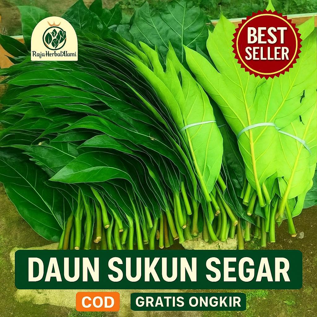

Daun Sukun Segar 250 Gram – Siap Pakai untuk Ramuan Herbal | COD
