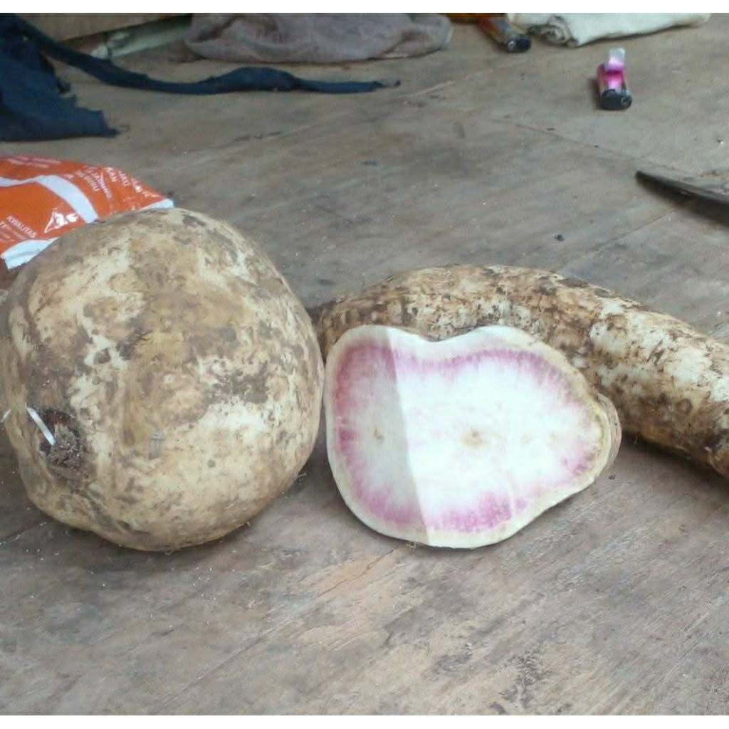 

Ubi Ungu Okinawa Ubi Pelangi 1kg