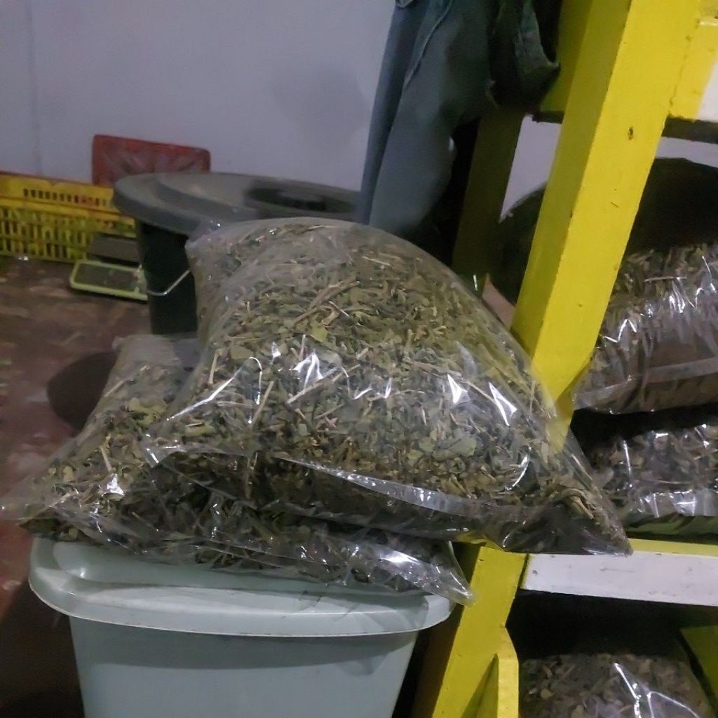 

Teh hijau kering 1 kg