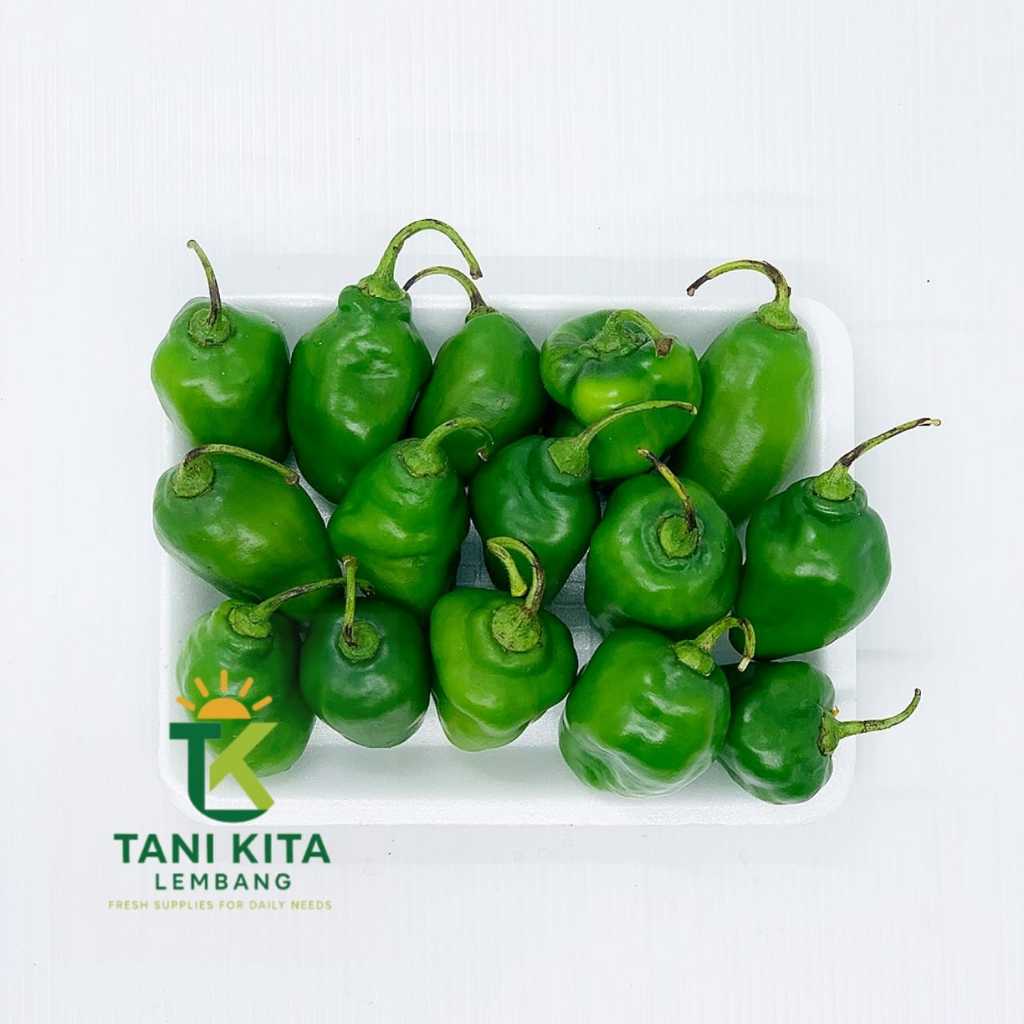 

Cabe Gendot Super Pedas 200gr | Cabai Gendot Segar Fresh Sambal Masakan Harian